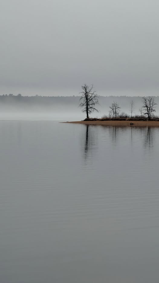 670485765_2837902189892492_965601899131759134_n