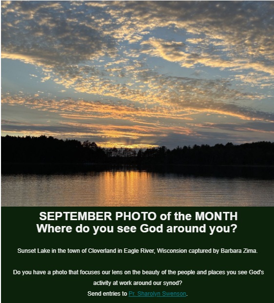 barb zima photo contest