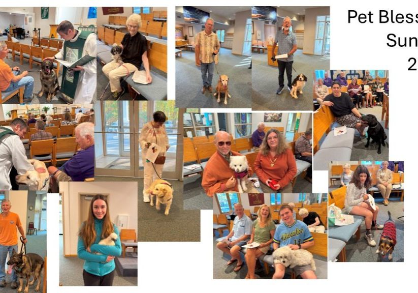 pet blessing sunday