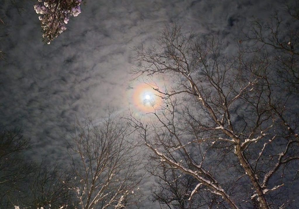 unnamed - 2026-01-07T114152.004